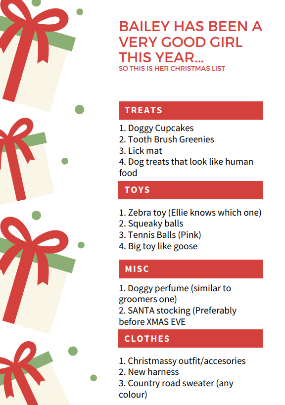 A poster with a list of Christmas gift ideas: treats, dog toy, misc and clothes