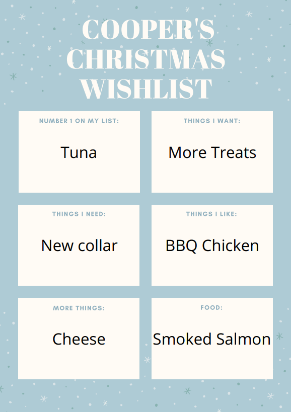 A poster with ideas for a cat with gift ideas.