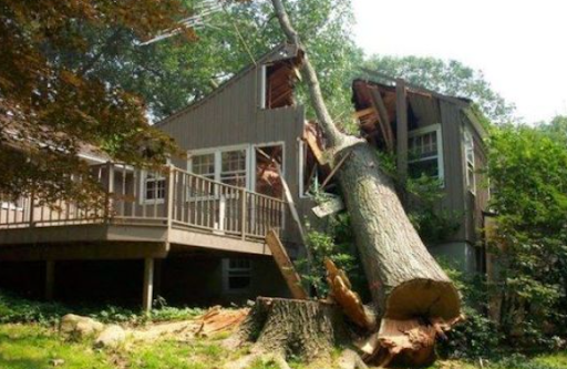 A tree log falling onto a house