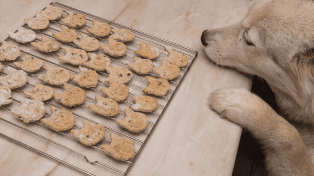9 homemade christmas gifts people will actually use