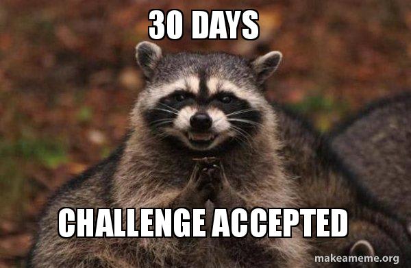 Cheeky raccoon meme 30 days challenge accepted