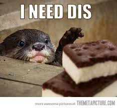 Otter reaching for ice cream cookie meme I need dis