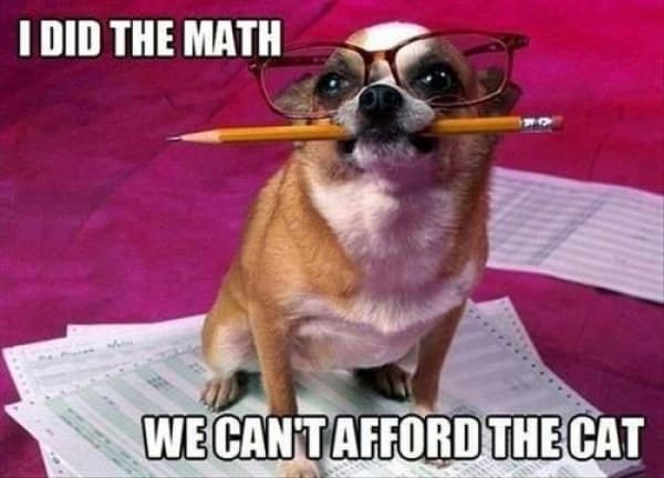 Small dog wearing glasses with a pencil in its mouth meme I did math we can't afford the cat