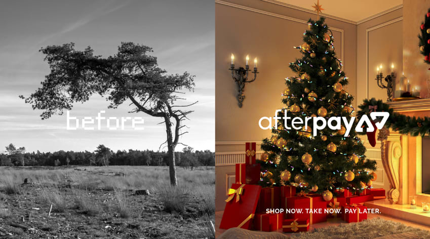 Before: Black and white image of a dying tree in a field. After: An image of beautifully decorated Christmas tree